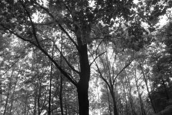 DSC_0226.JPG