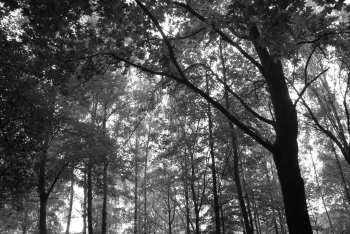 DSC_0227.JPG