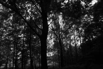 DSC_0230.JPG