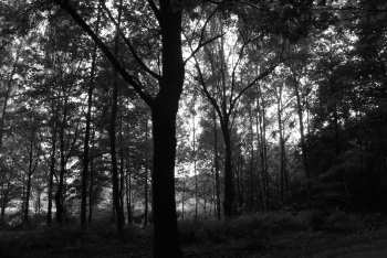 DSC_0233.JPG
