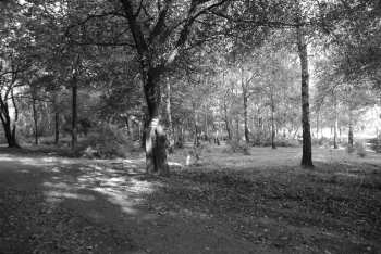 DSC_0235.JPG