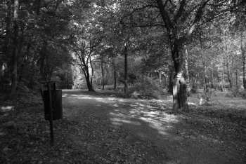 DSC_0236.JPG