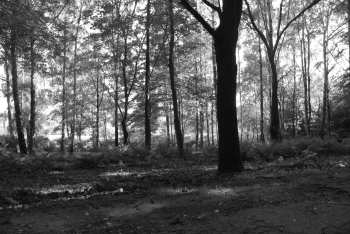 DSC_0237.JPG