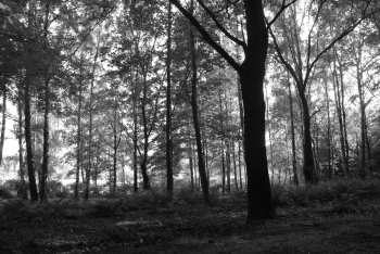 DSC_0239.JPG