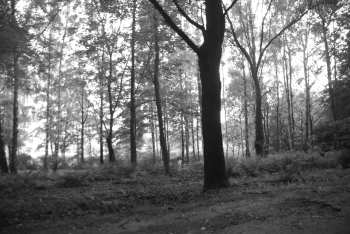 DSC_0240.JPG