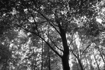 DSC_0243.JPG