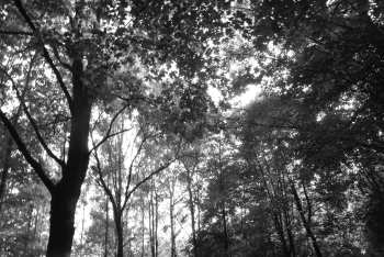DSC_0244.JPG