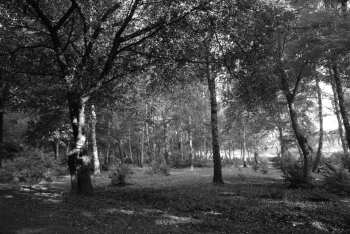DSC_0245.JPG