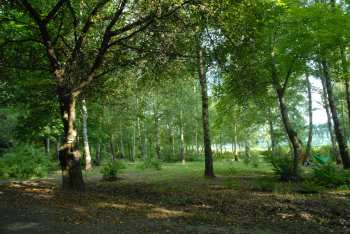 DSC_0246.JPG