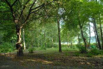 DSC_0247.JPG