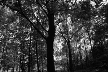 DSC_0255.JPG