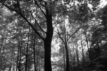 DSC_0256.JPG