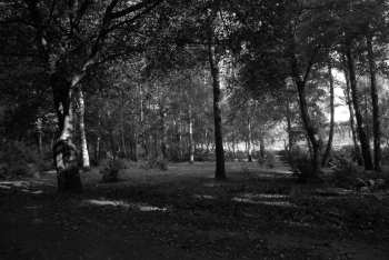 DSC_0257.JPG
