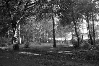 DSC_0259.JPG
