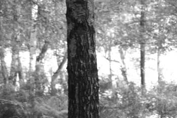 DSC_0260.JPG