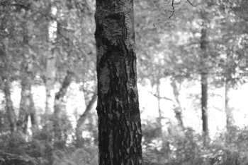DSC_0261.JPG