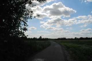 DSC_0004.NEF