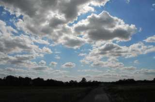 DSC_0007.NEF