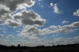 DSC_0008.NEF