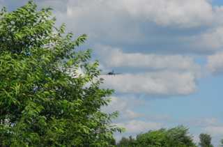 DSC_0076.NEF