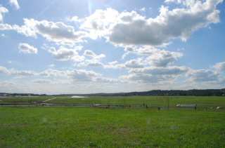 DSC_0094.NEF