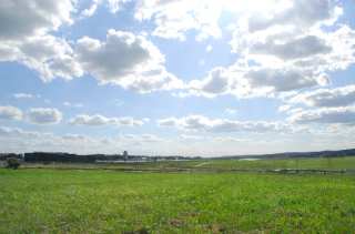 DSC_0106.NEF