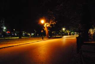 DSC_0177.JPG