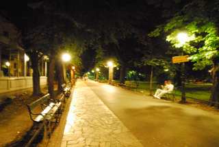 DSC_0180.JPG