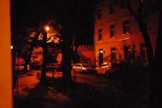 DSC_0220.JPG